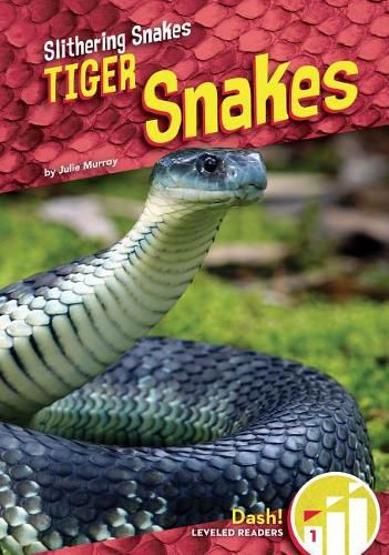 Tiger Snakes