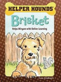 Cover image for Brisket Helps Miryam with Online Learning