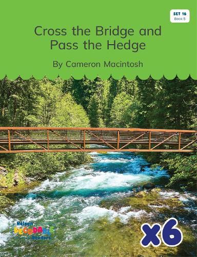 Cover image for Cross the Bridge and Pass the Hedge x 6 (Set 16, Book 5)