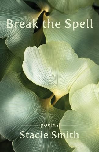 Cover image for Break the Spell