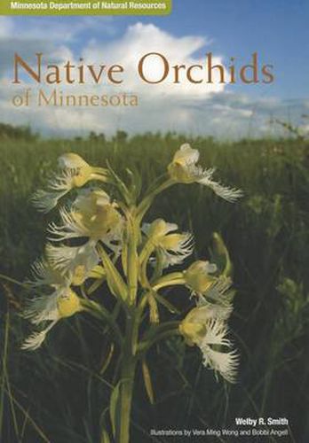 Cover image for Native Orchids of Minnesota