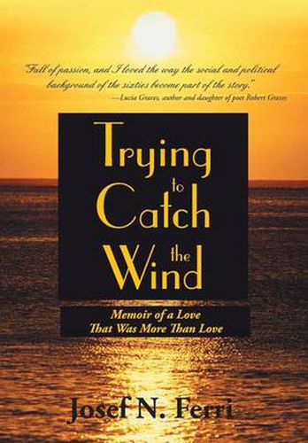 Cover image for Trying to Catch the Wind