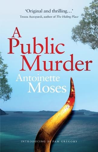 Cover image for A Public Murder: Introducing DI Pam Gregory