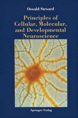 Cover image for Principles of Cellular, Molecular, and Developmental Neuroscience