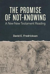 Cover image for The Promise of Not-Knowing: A New New Testament Reading