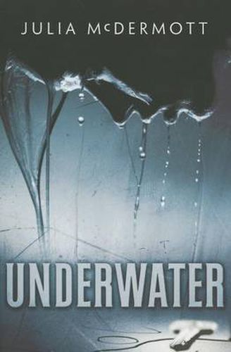 Cover image for Underwater