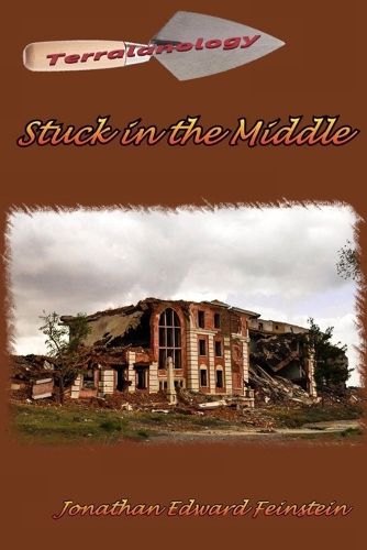 Cover image for Terralanology