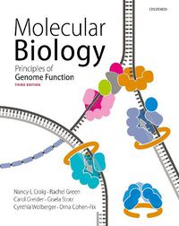 Cover image for Molecular Biology: Principles of Genome Function