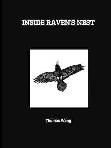 Cover image for Inside Raven's Nest