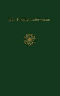 Cover image for Das Fossile Lebewesen: Eine Einfuhrung in Die Versteinerungskunde