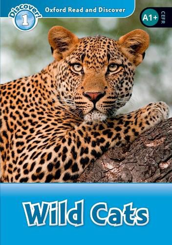 Cover image for Oxford Read and Discover: Level 1: Wild Cats Audio Pack