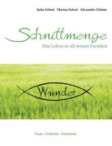 Cover image for Schnittmenge Wunder: Das Leben in all seinen Facetten