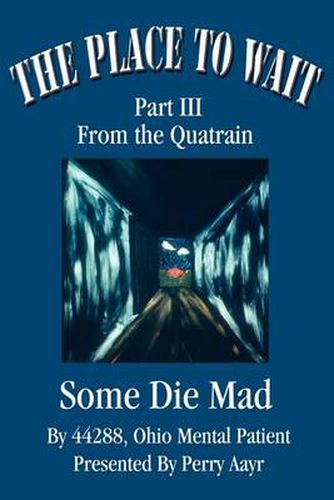 Cover image for The Place to Wait: Part III of the Quatrain Some Die Mad