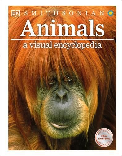 Animals A Visual Encyclopedia