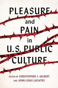 Cover image for Pleasure and Pain in US Public Culture