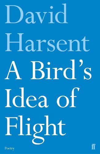 Cover image for A Bird's Idea of Flight