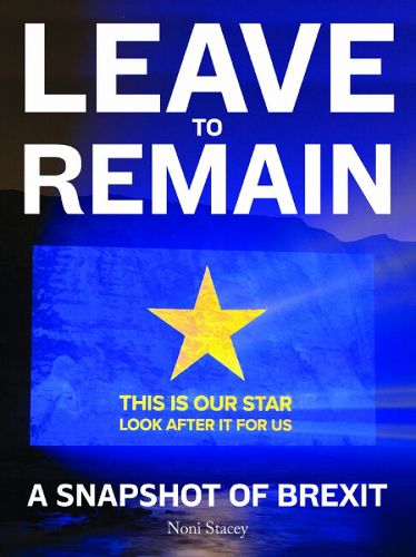 Cover image for Leave to Remain