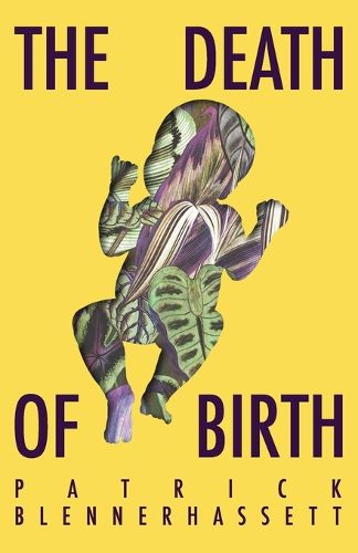 Cover image for The Death of Birth