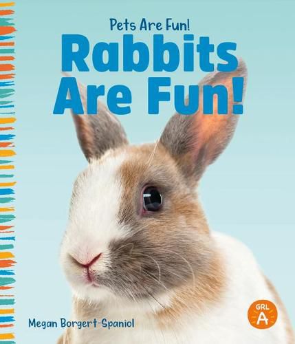 Rabbits Are Fun!