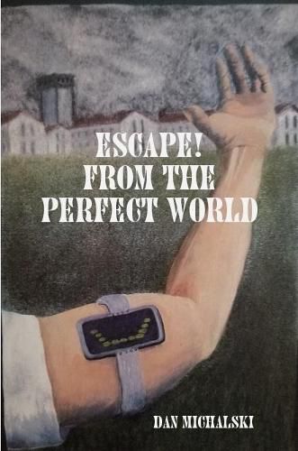 Cover image for Escape from the Perfect World