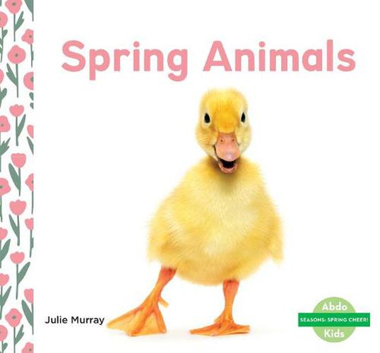 Cover image for Spring Animals