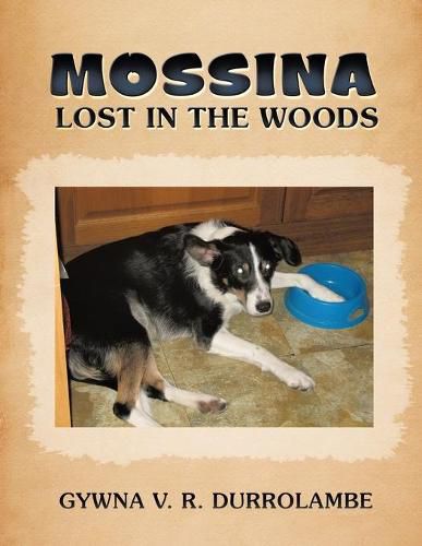 Cover image for Mossina Lost in the Woods