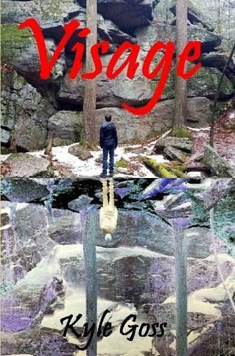 Cover image for Visage