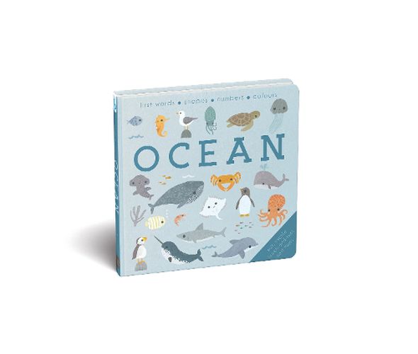 Cover image for Baby Play Ocean