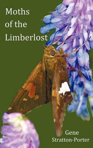 Cover image for Moths of the Limberlost with Original Photographs (but in BW)