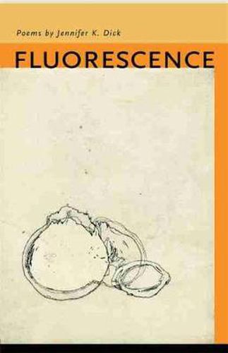 Cover image for Fluorescence