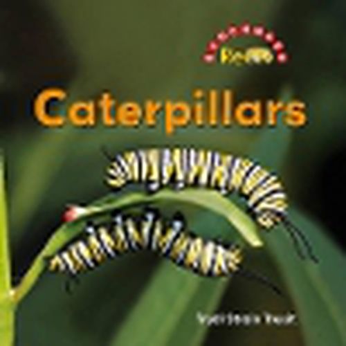 Cover image for Caterpillars