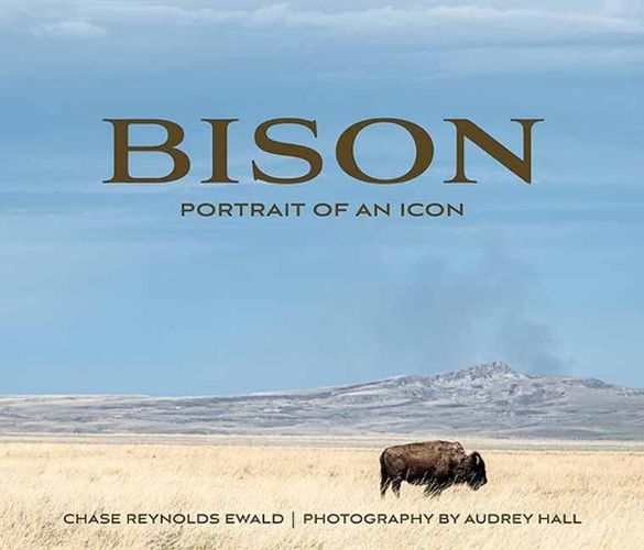 Cover image for Bison: Portrait of an Icon