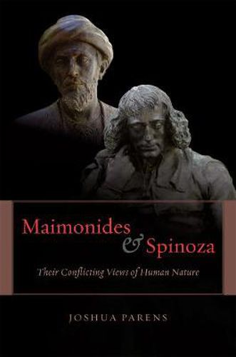 Cover image for Maimonides and Spinoza