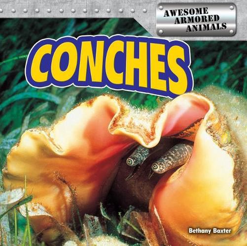 Cover image for Conches