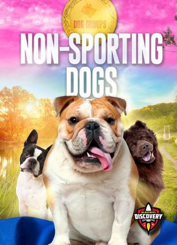 Cover image for Non-Sporting Dogs