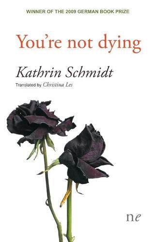 Cover image for You're not dying