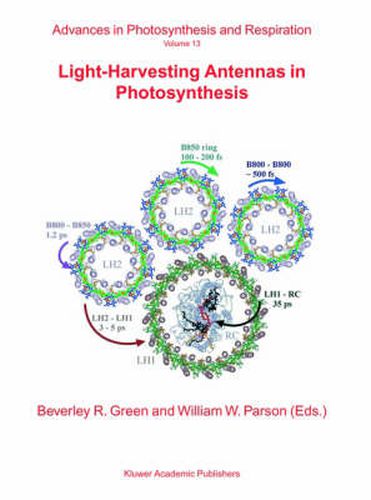 Cover image for Light-Harvesting Antennas in Photosynthesis