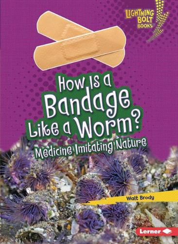 Cover image for How Is a Bandage Like a Worm?: Medicine Imitating Nature