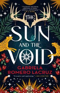 Cover image for The Sun and the Void