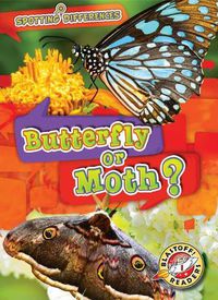 Cover image for Butterfly or Moth