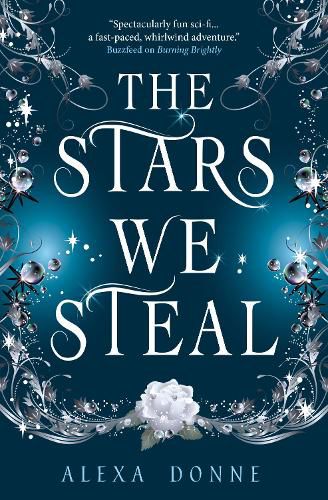 The Stars We Steal