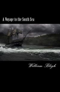 Cover image for A Voyage to the South Sea