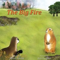 Cover image for The Big Fire