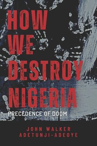 Cover image for How We Destroy Nigeria