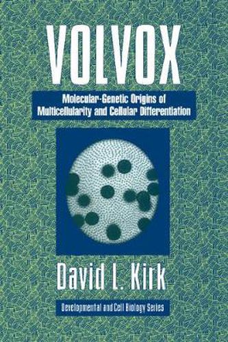 Cover image for Volvox: A Search for the Molecular and Genetic Origins of Multicellularity and Cellular Differentiation