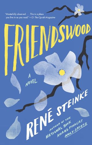 Cover image for Friendswood: A Novel