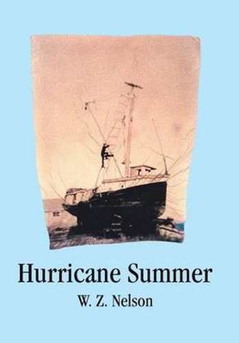 Cover image for Hurricane Summer