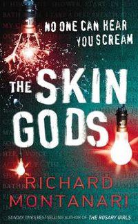 Cover image for The Skin Gods
