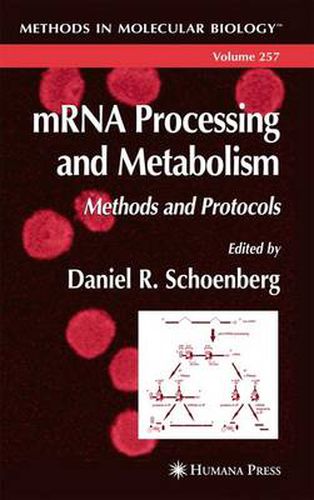 Cover image for mRNA Processing and Metabolism: Methods and Protocols