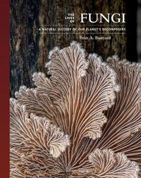 Cover image for The Lives of Fungi: A Natural History of Our Planet's Decomposers